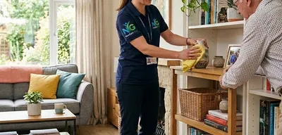 Domestic Assistance & Household Tasks
